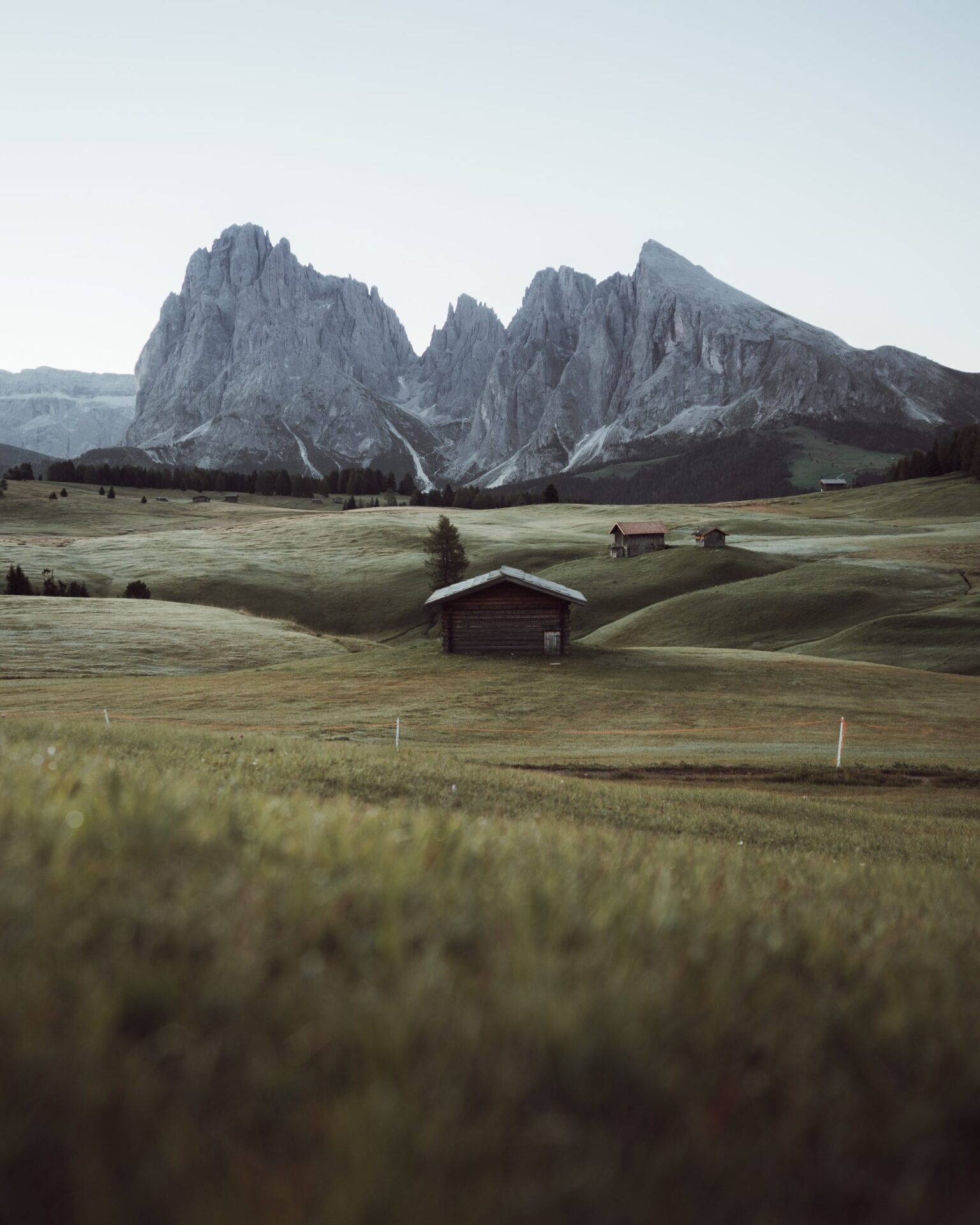 Alpe Di Siusi, Dolomites